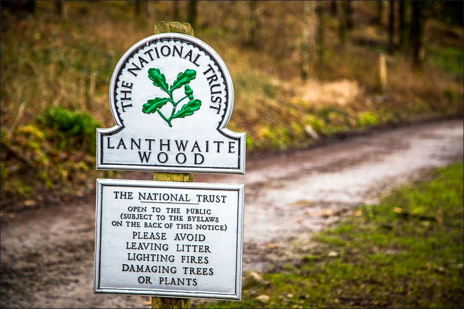 Lanthwaite Wood walk