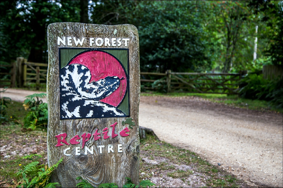 New Forest Reptile Centre
