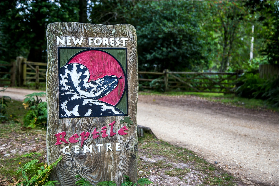 New Forest Reptile Centre New Forest Reptile Centre