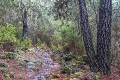 La Caldera walk Tenerife