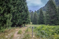 Chablais Alps walk