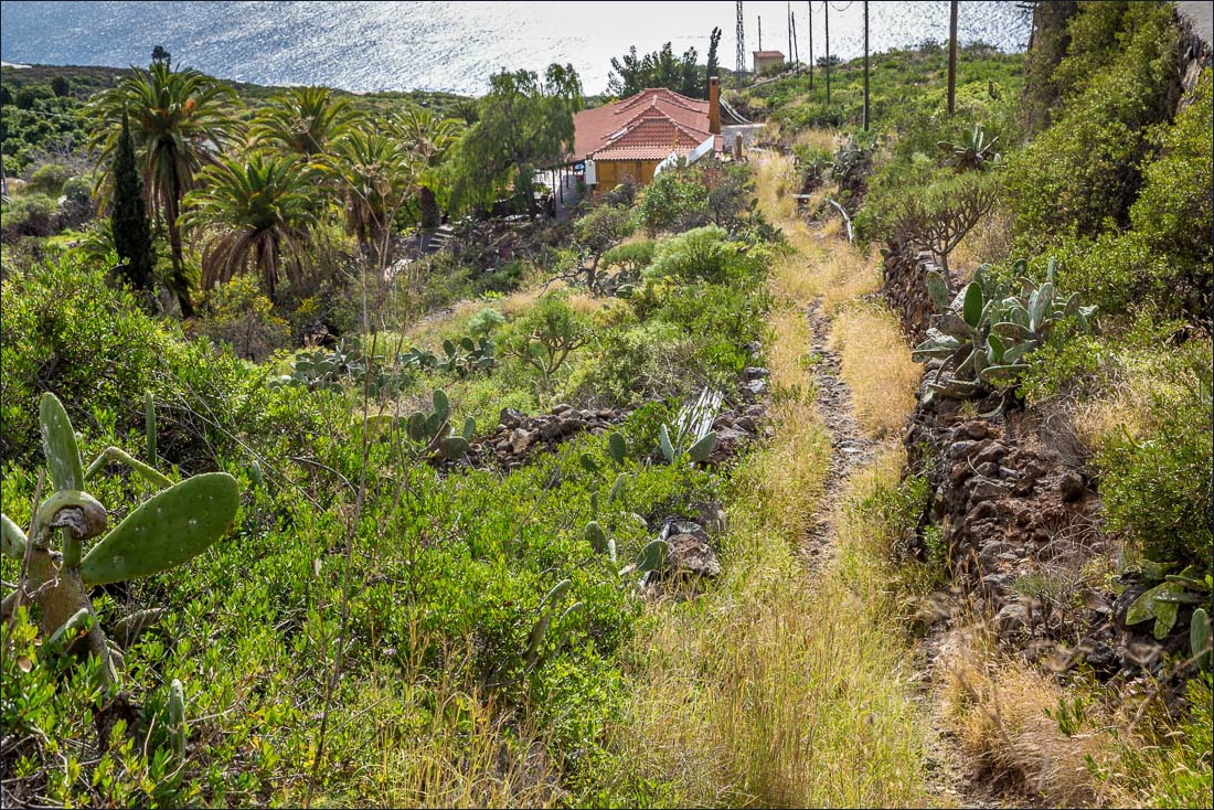 La Capellana walk La Palma