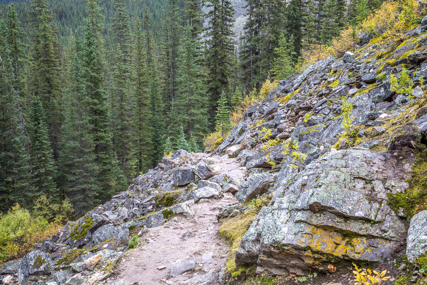 Lake Moraine walk Lake Moraine walk