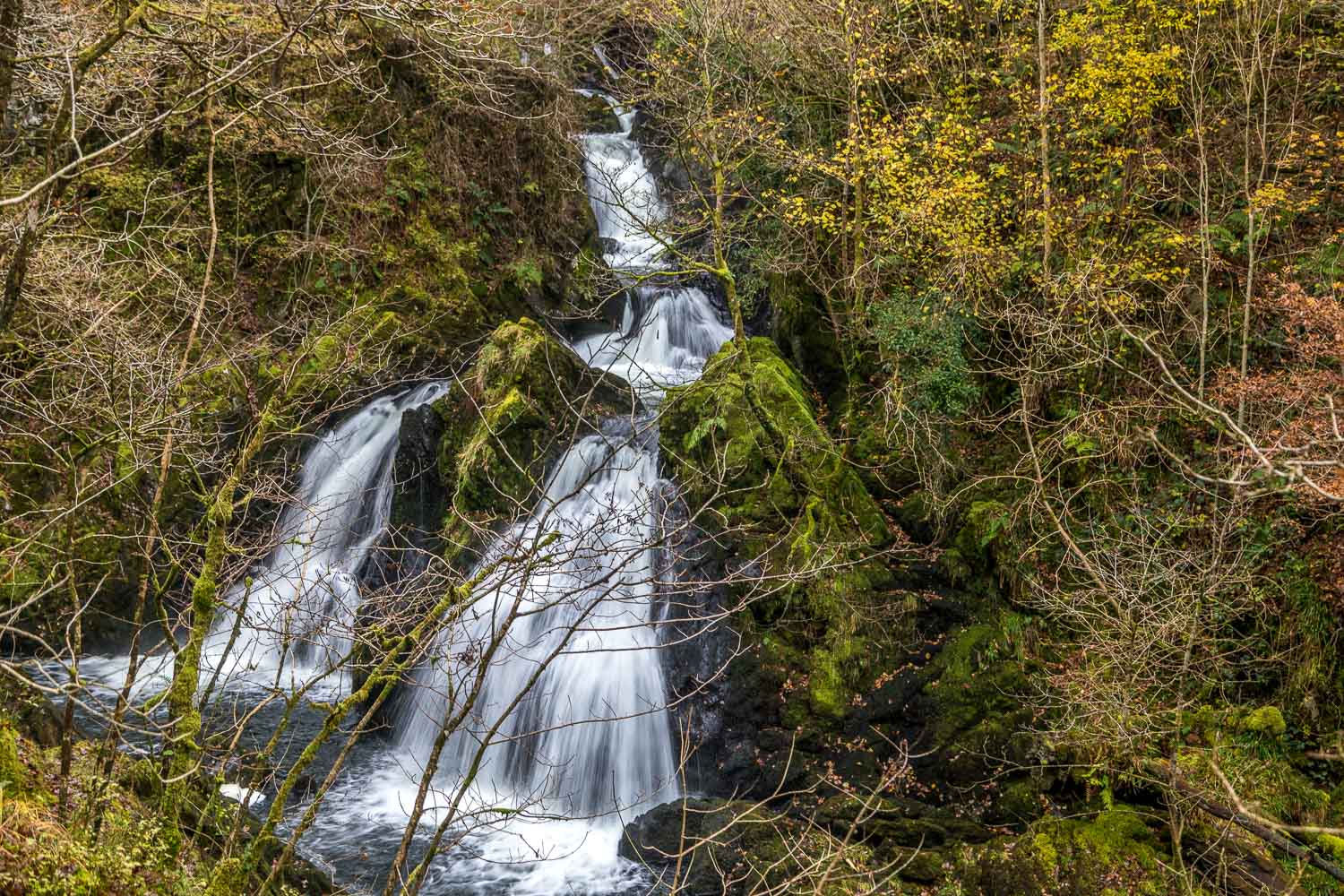 Colwith Force