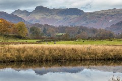 River Brathay, Langdale Pikes