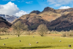 Langdale Pikes