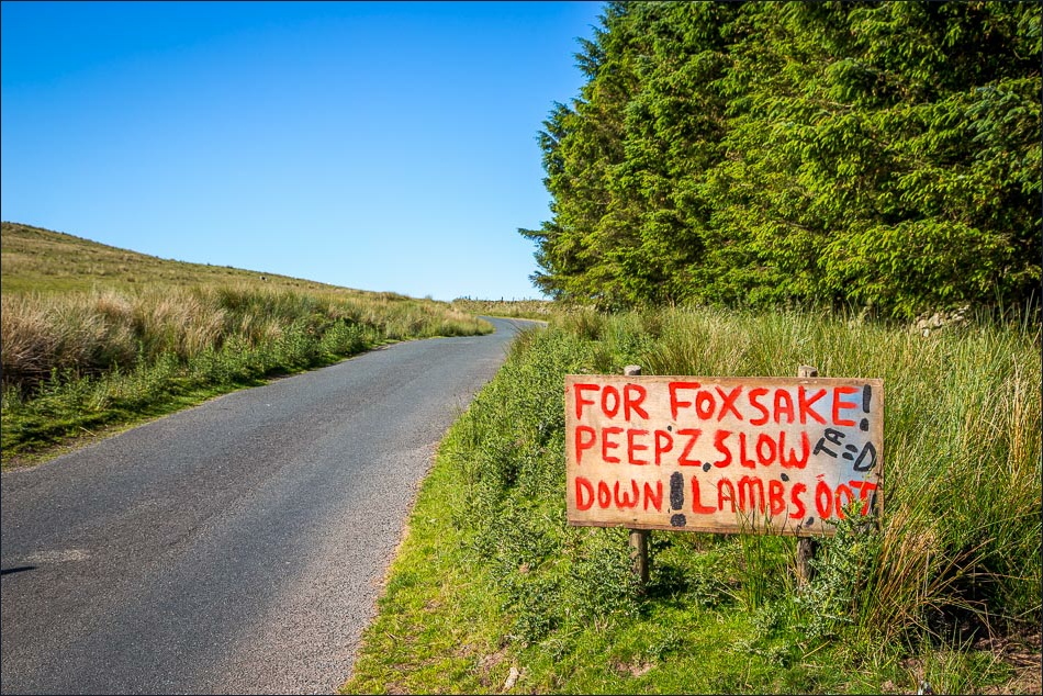 Lank Rigg-2