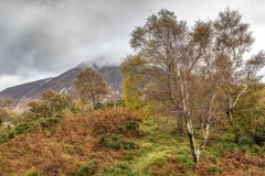 Brackenthwaite Hows walk