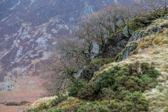 Brackenthwaite Hows or Lanthwaite Hill