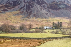 Lanthwaite Wood walk