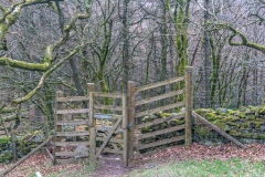 Lanthwaite Wood