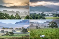 Lorton Vale