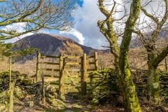 Lanthwaite Hill, Brackenthwaite Hows