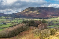 Low Fell from Lanthwaite Hill