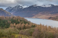 Lanthwaite Wood, Lanthwaite Hill