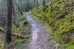 Lanthwaite Hill walk