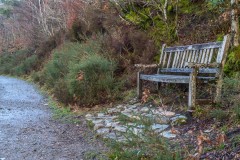 Crummock Water walk