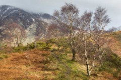 Lanthwaite Hill walk, Brackenthwaite Hows walk, Whiteside