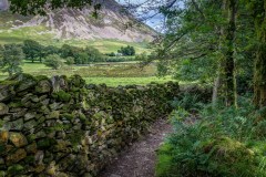 Lanthwaite Green