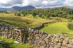 Lanthwaite Hill, Brackenthwaite Hows, Mellbreak