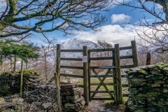 Lanthwaite-Wood