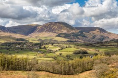 Carling Knott, Holme Wood