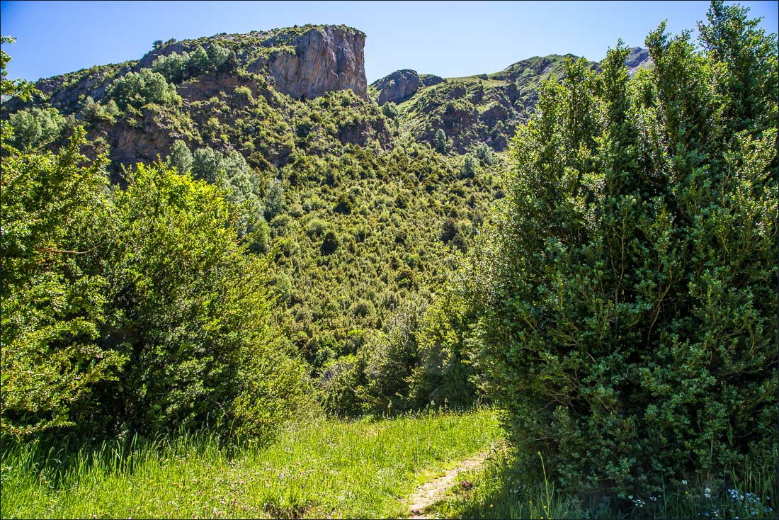 La Ripera walk La Ripera walk