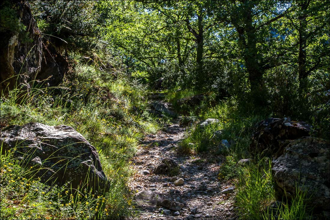 La Ripera walk La Ripera walk