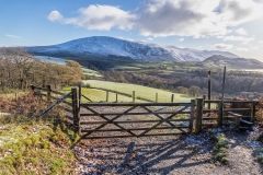 Latrigg walk