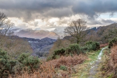 Latrigg walk