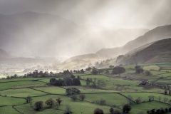 Sunbeams