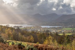 Latrigg Woods, Keswick
