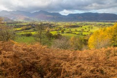 Latrigg walk