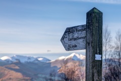 Latrigg walk
