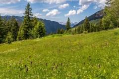 Lauenen Valley