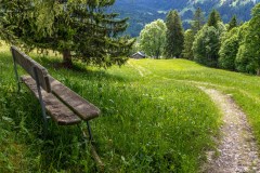 Lenk-to-Lauenen-81