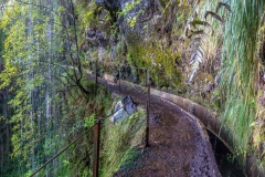 Levada do Furado