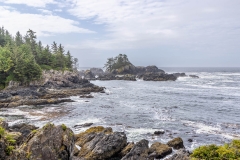 Lighthouse Loop, Wild Pacific Trail