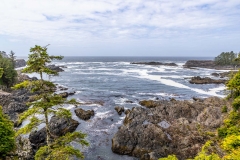 Lighthouse Loop, Wild Pacific Trail