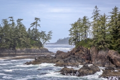 Lighthouse Loop, Wild Pacific Trail