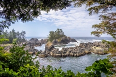 Lighthouse Loop, Wild Pacific Trail