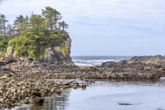 Lighthouse Loop, Wild Pacific Trail