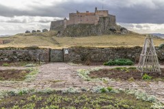 Gertrude Jekyll Garden, Lindisfarne