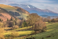 Skiddaw