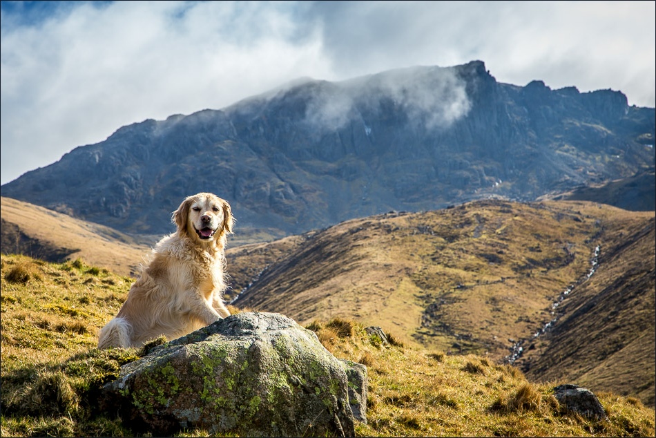 Bonnie and Scafell Pike