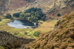 Lingmoor Fell walk, Blea Tarn