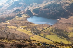 Lingmoor Fell, Blea Tarn