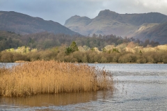 Elter Water