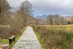 Langdale Pikes