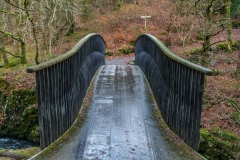 Trevor Woodburn bridge